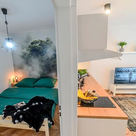 Apartamenty Swietokrzyska 莱什诺 外观 照片